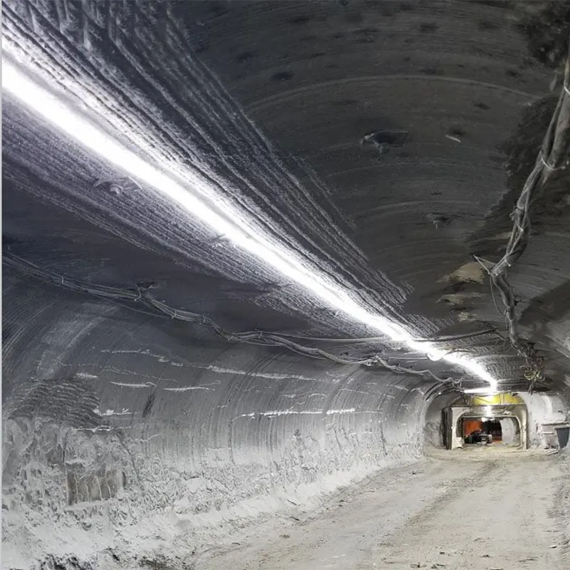 Free Maintenance Underground Mining Strip Light Waterproof IP68 Silicone Led Light Strip