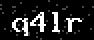 verify code