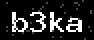 verify code
