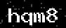 verify code